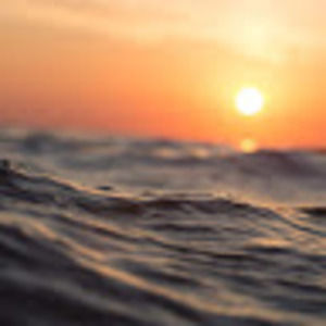 Meet your Posher, Skyler